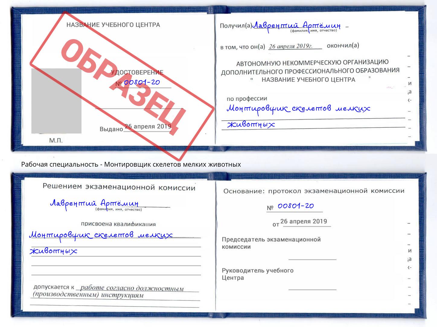 Монтировщик скелетов мелких животных Старый Оскол