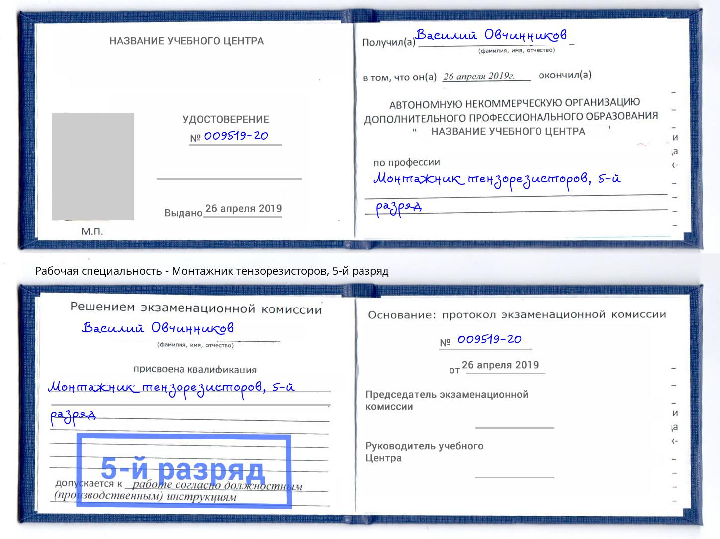 корочка 5-й разряд Монтажник тензорезисторов Старый Оскол